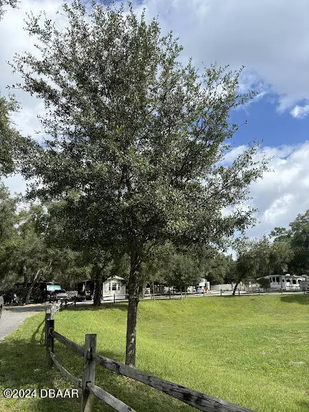 Salt Springs, FL 32134,14423 NE 252ND (LOT 136) COURT RD