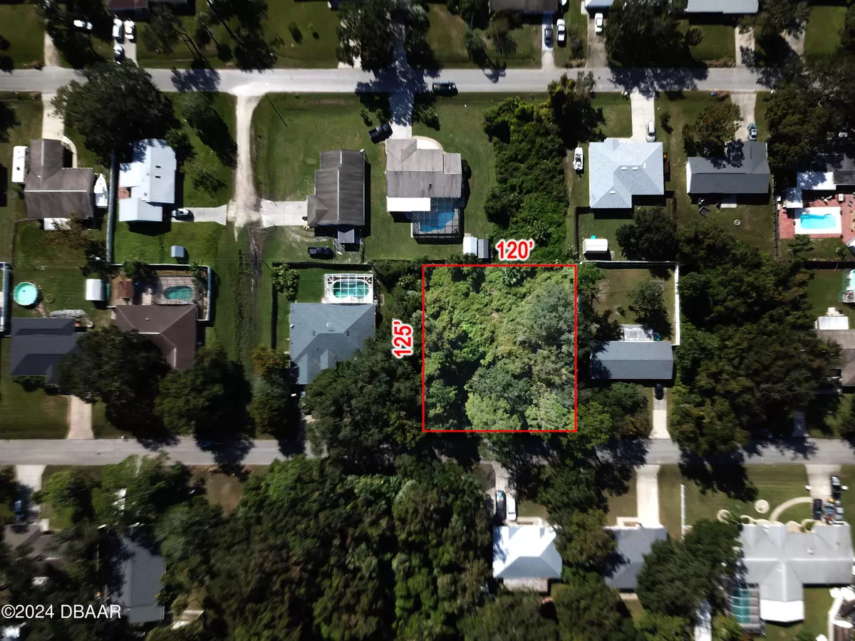 Edgewater, FL 32141,3224 Needle Palm DR