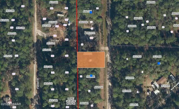 125 Boundary DR, Georgetown, FL 32139