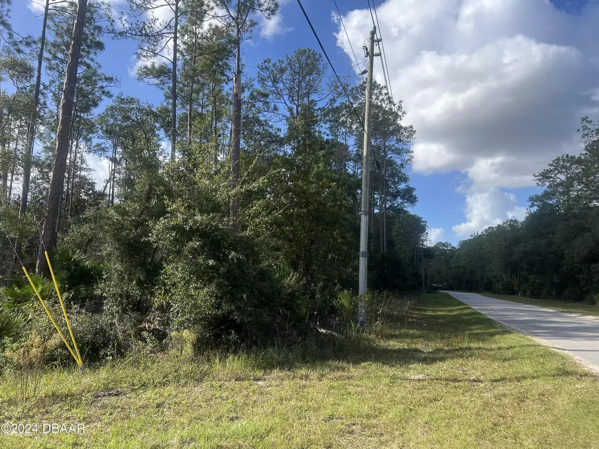 Georgetown, FL 32139,194 whispering Pines Dr RD