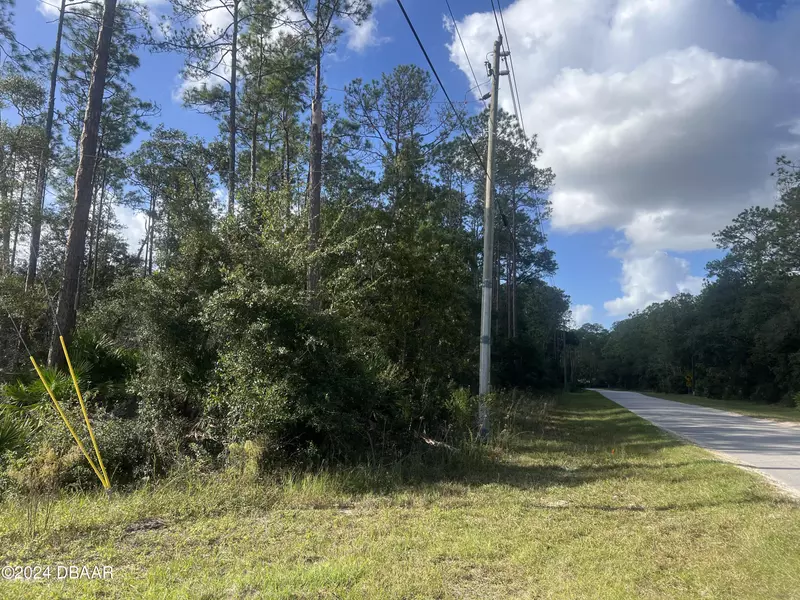 194 whispering Pines Dr RD, Georgetown, FL 32139