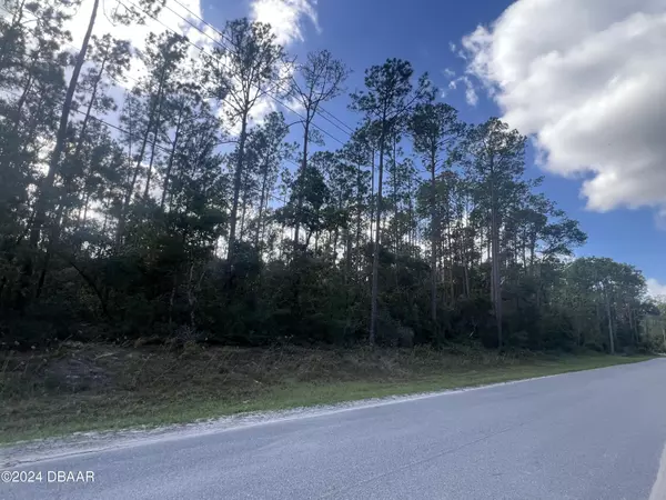 Georgetown, FL 32139,194 whispering Pines Dr RD