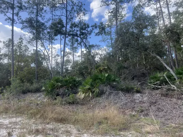 Georgetown, FL 32139,194 whispering Pines Dr RD