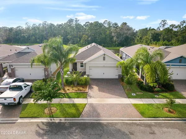 New Smyrna Beach, FL 32168,234 Caryota CT