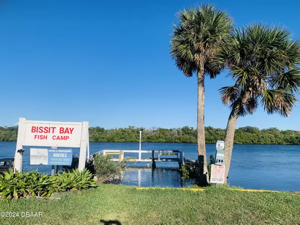 251 Bissit Bay RD, Oak Hill, FL 32759