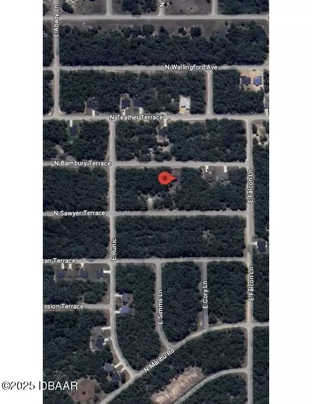 Citrus Springs, FL 34434,8628 BAMBURY TER