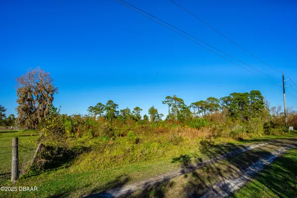 New Smyrna Beach, FL 32168,00 Rasley RD