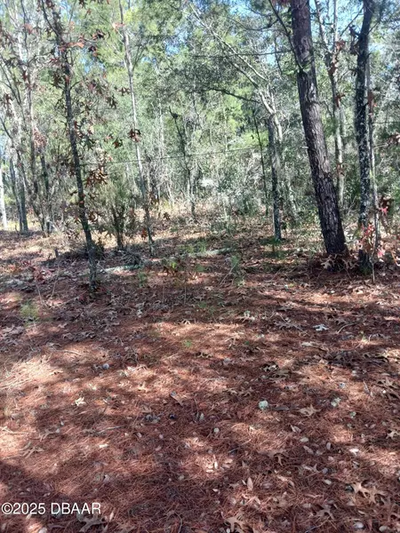 LOT 11 Lake Lucy CIR, Interlachen, FL 32148
