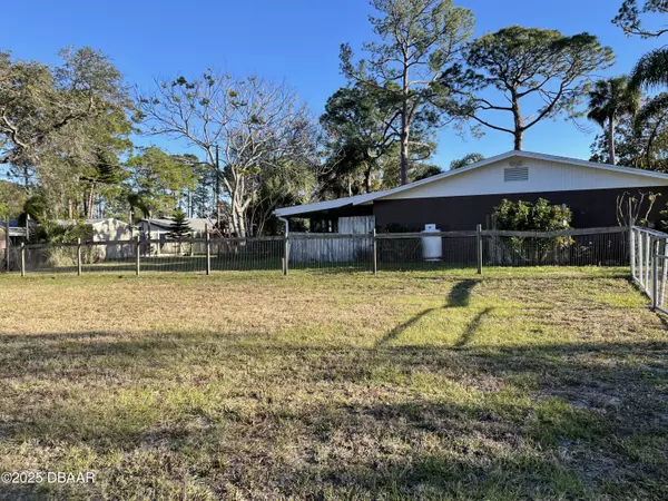 Edgewater, FL 32141,2719 Travelers Palm DR
