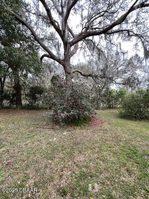 Ormond Beach, FL 32174,1905 Fairland RD