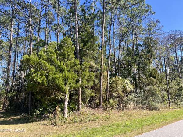 179 Ullian TRL, Palm Coast, FL 32164