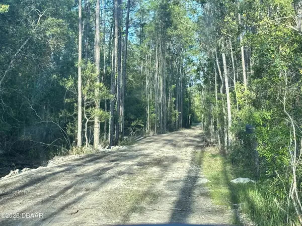 Ormond Beach, FL 32174,3789 Pine Pitch CT