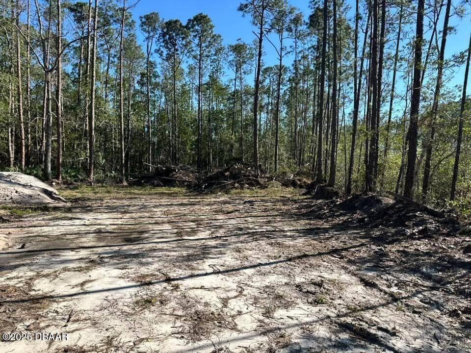 Ormond Beach, FL 32174,3789 Pine Pitch CT