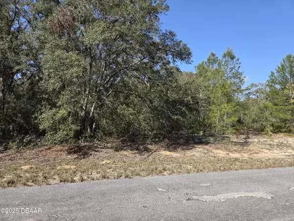 Ocklawaha, FL 32179,0 Fisher Trace Run