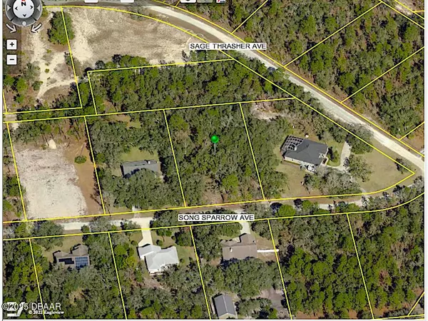 Weeki Wachee, FL 34614,11099 Song Sparrow AVE