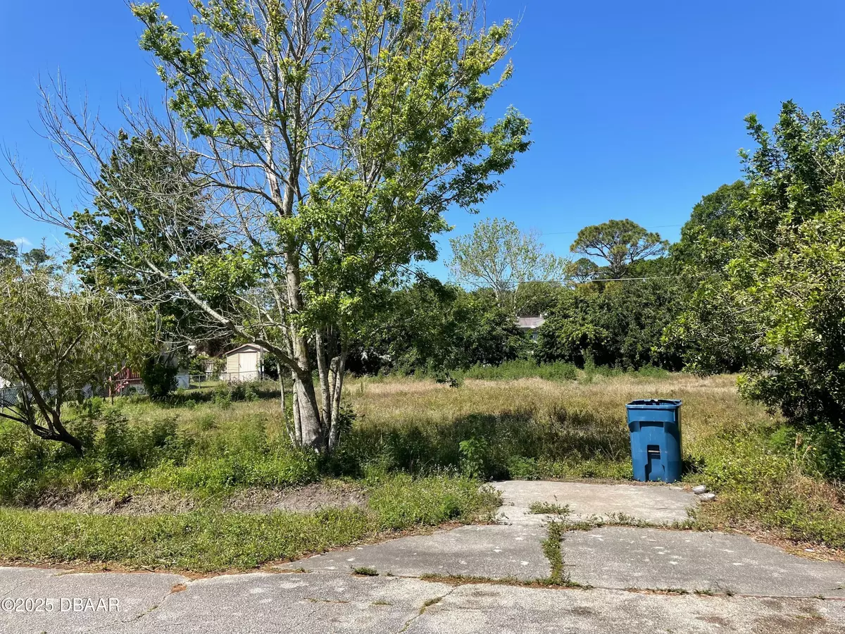 Oak Hill, FL 32759,156 Mae ST