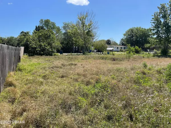 Oak Hill, FL 32759,156 Mae ST