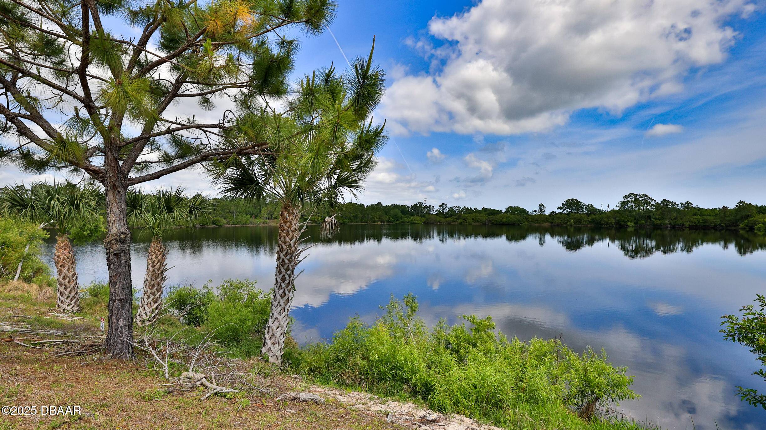Ormond Beach, FL 32174,4119 Clifden DR