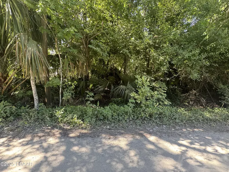 2015 Griffin ST, Ormond Beach, FL 32174