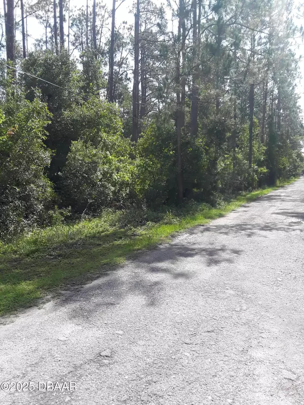 Ormond Beach, FL 32174,3674 Tamarack DR