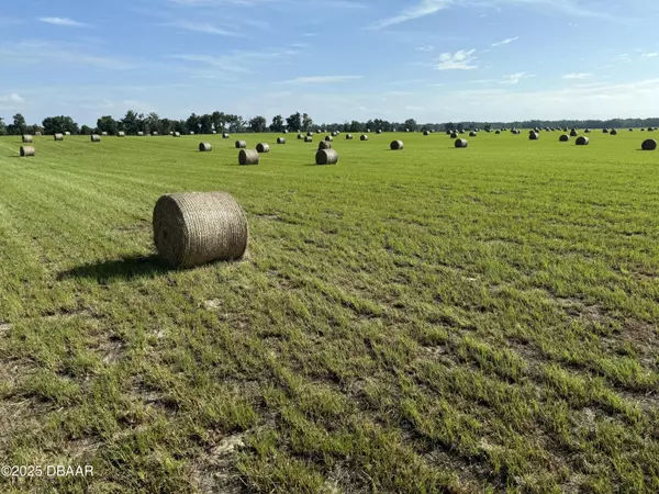 Bell, FL 32619,72 Nw PL