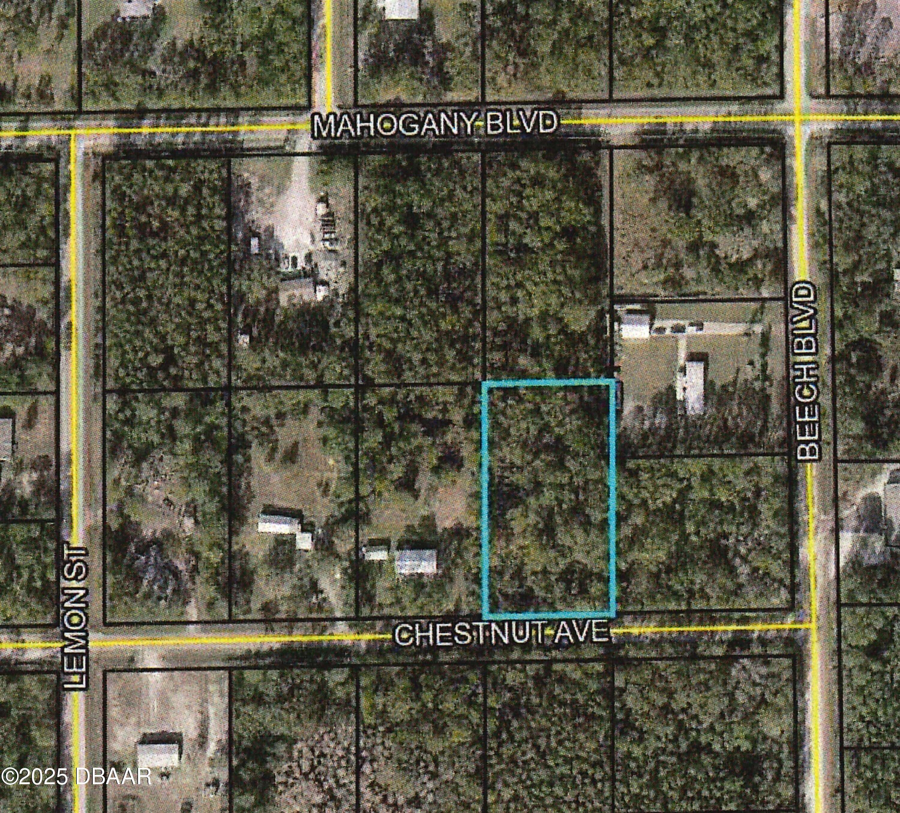 Bunnell, FL 32110,5527 Mahogany BLVD