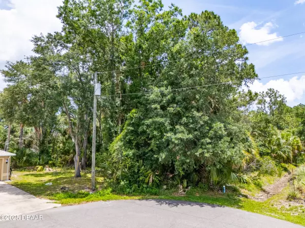 Palm Coast, FL 32164,16 White Hawk PL