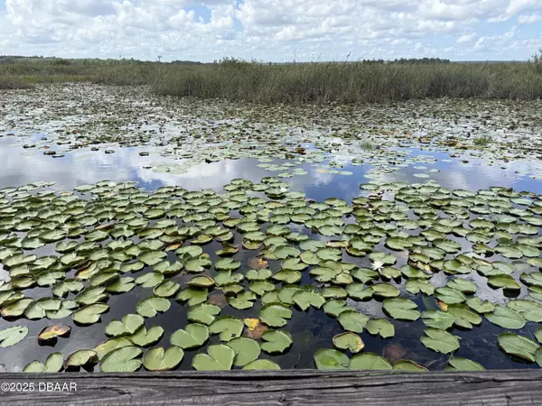 Salt Springs, FL 32134,23422 154TH PLACE RD