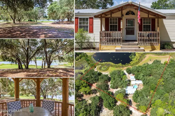 111 Penny Acres LN, Welaka, FL 32193