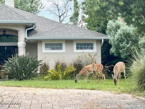 Palm Coast, FL 32137,91 Lancelot DR