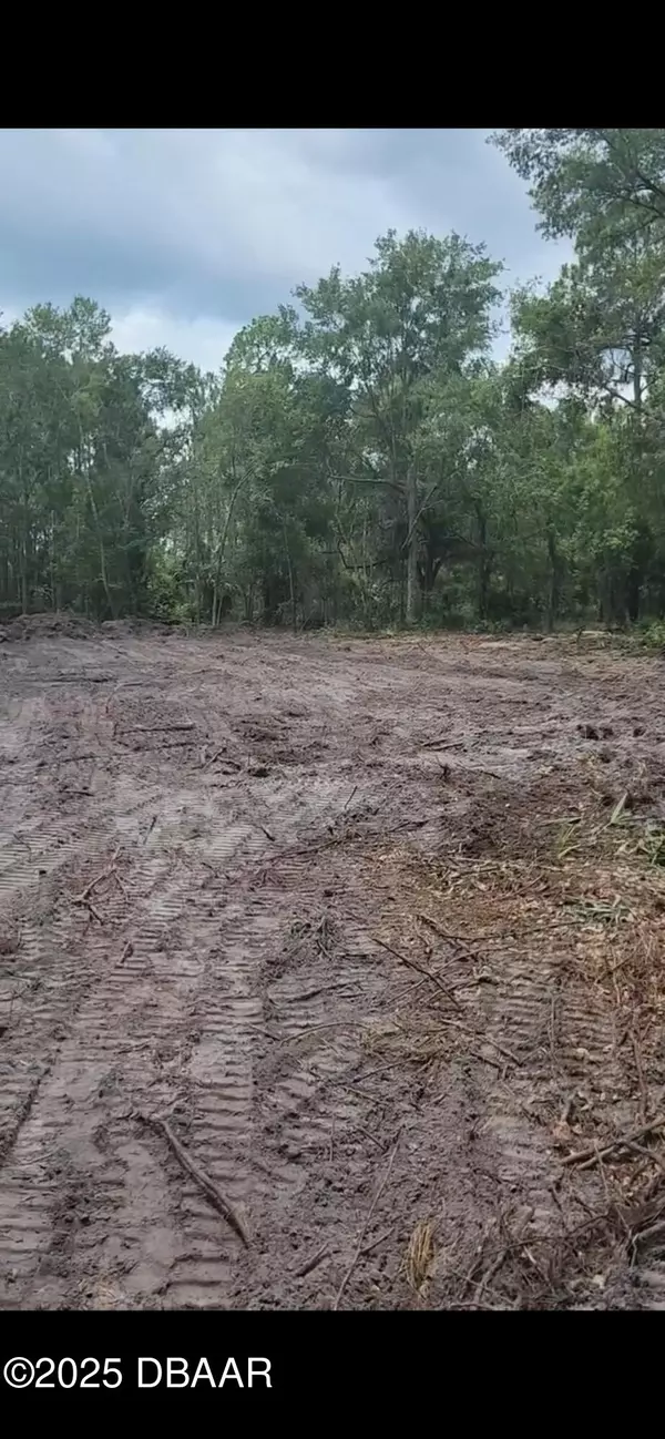 Georgetown, FL 32139,147 Heathton ST