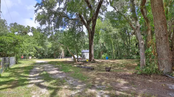 New Smyrna Beach, FL 32168,1150 Old Mission RD