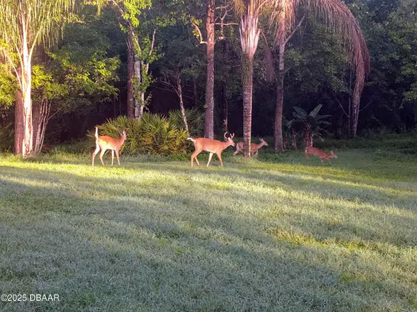 Orlando, FL 32833,802 Hamilton DR