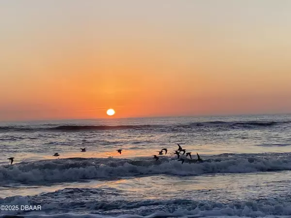 Daytona Beach, FL 32118,1 Oceans West BLVD #1B5