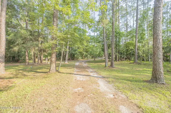 Port Orange, FL 32128,2110 Poinsettia DR