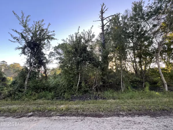 1175 Central Pkwy, Deland, FL 32724