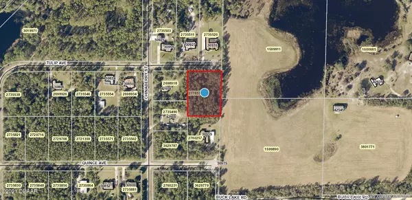 Eustis, FL 32736,000 Tulip AVE