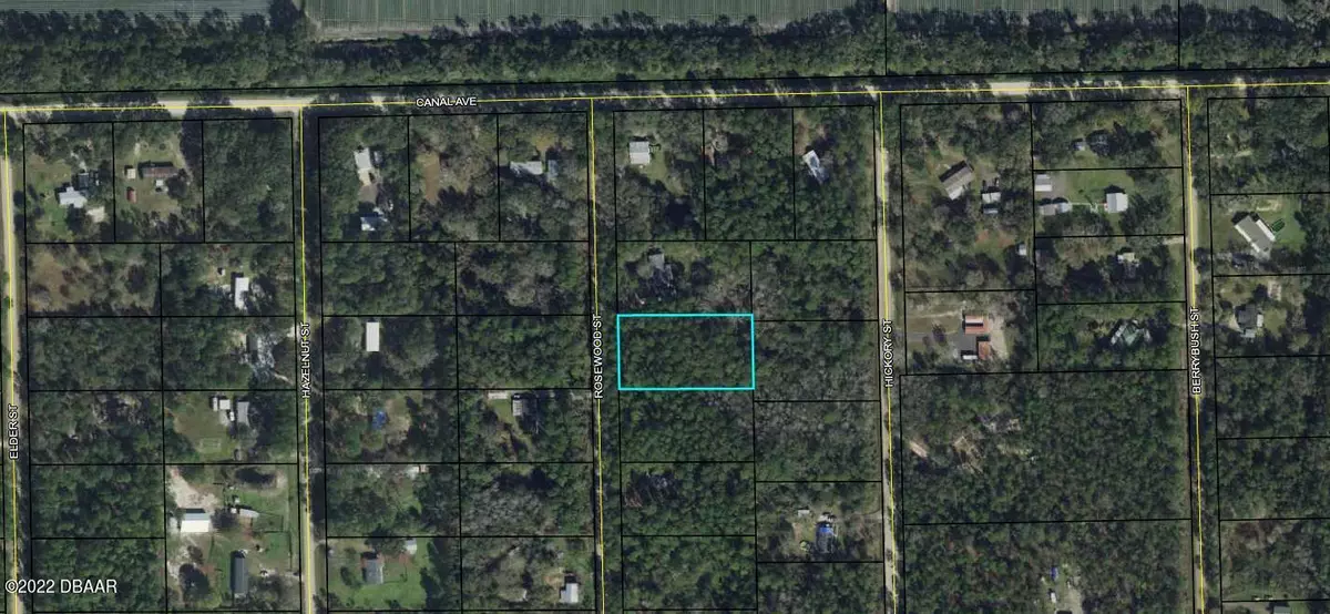 Bunnell, FL 32110,1103 Rosewood ST