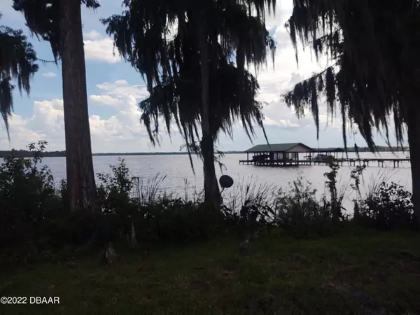 Welaka, FL 32193,1074 front lot #28 ST