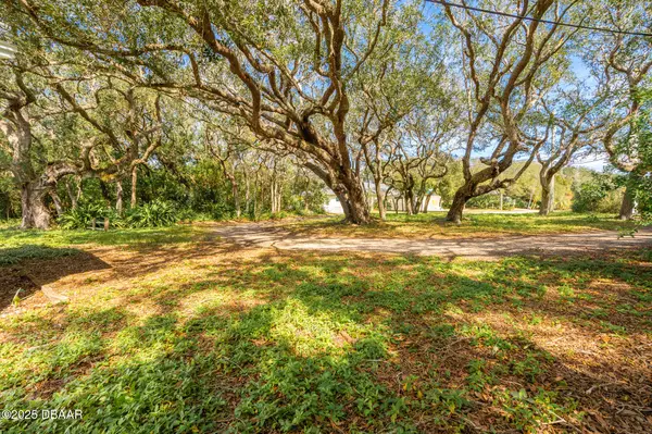 Ponce Inlet, FL 32127,4770 S Peninsula DR