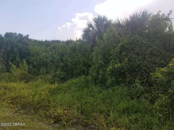 Ponce Inlet, FL 32127,4570 S Peninsula DR