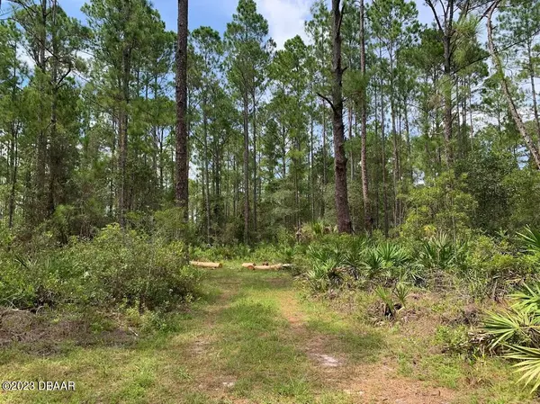 Fort Mccoy, FL 32134,0000 157th LN