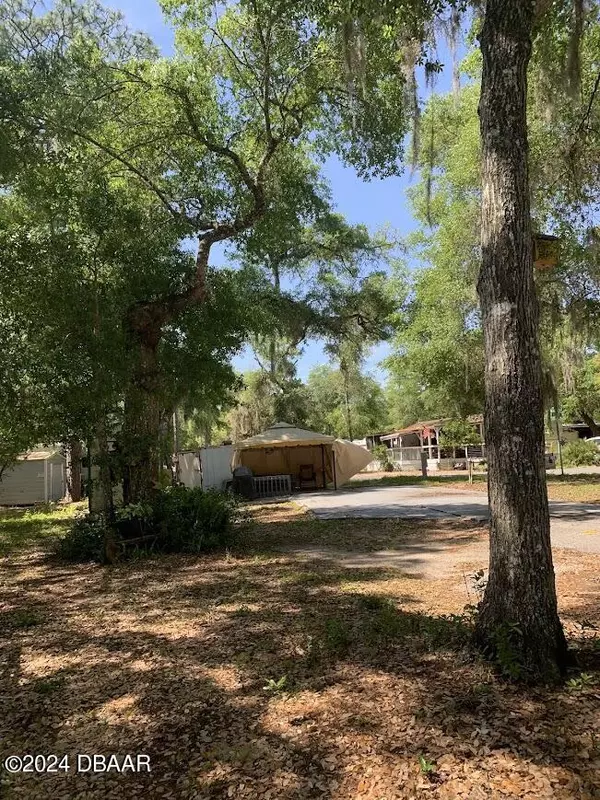 Salt Springs, FL 32134,25202 NE 143RD LOT 151 PL