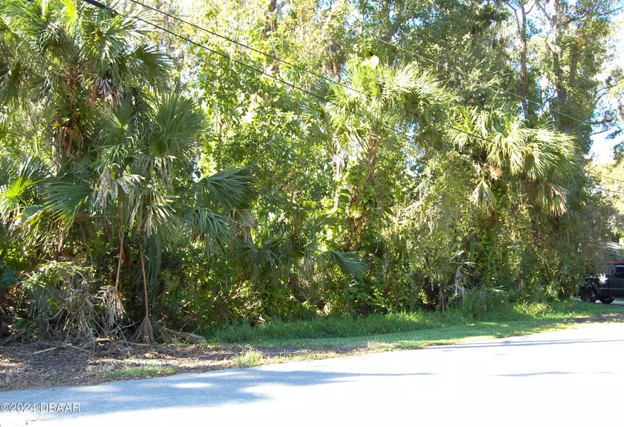 332 Patricia DR, New Smyrna Beach, FL 32168