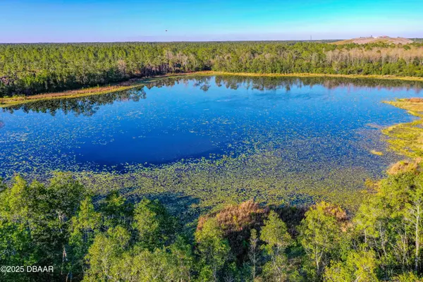 New Smyrna Beach, FL 32168,00 Rasley RD