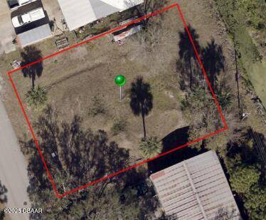 Edgewater, FL 32141,2421 Guava DR