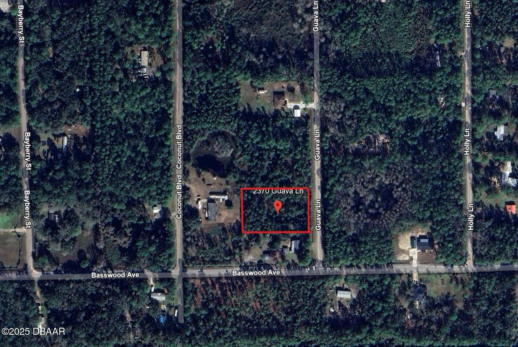 Bunnell, FL 32110,2370 Guava LN