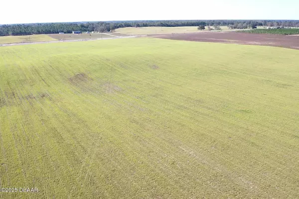 72 Nw PL, Bell, FL 32619