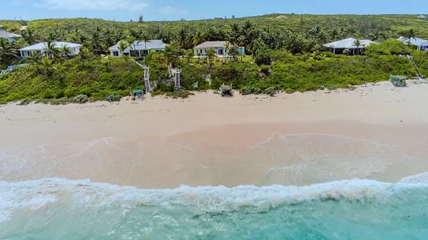 DAVILLA Eleuthera, 