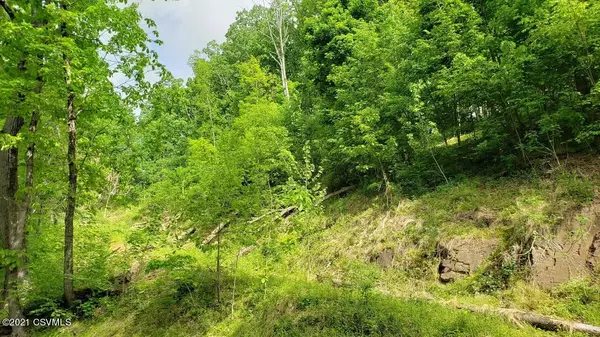 84 RED ROCK RD, Berwick, PA 18603